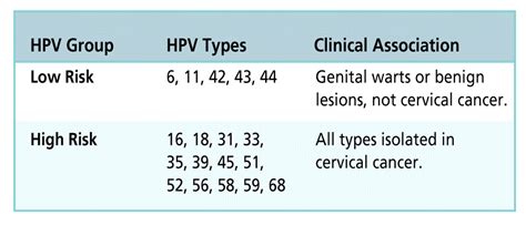 hpv high risk genotype 16
